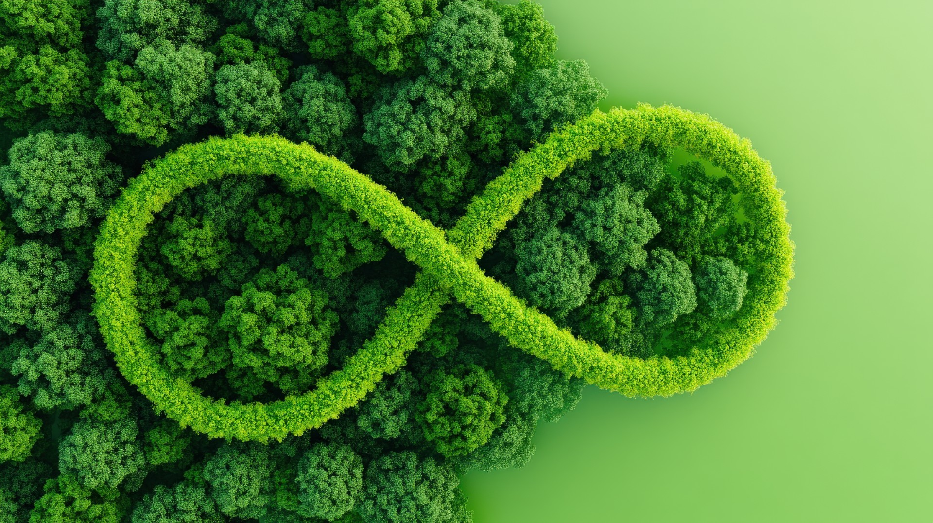 Clitech analiz süreci